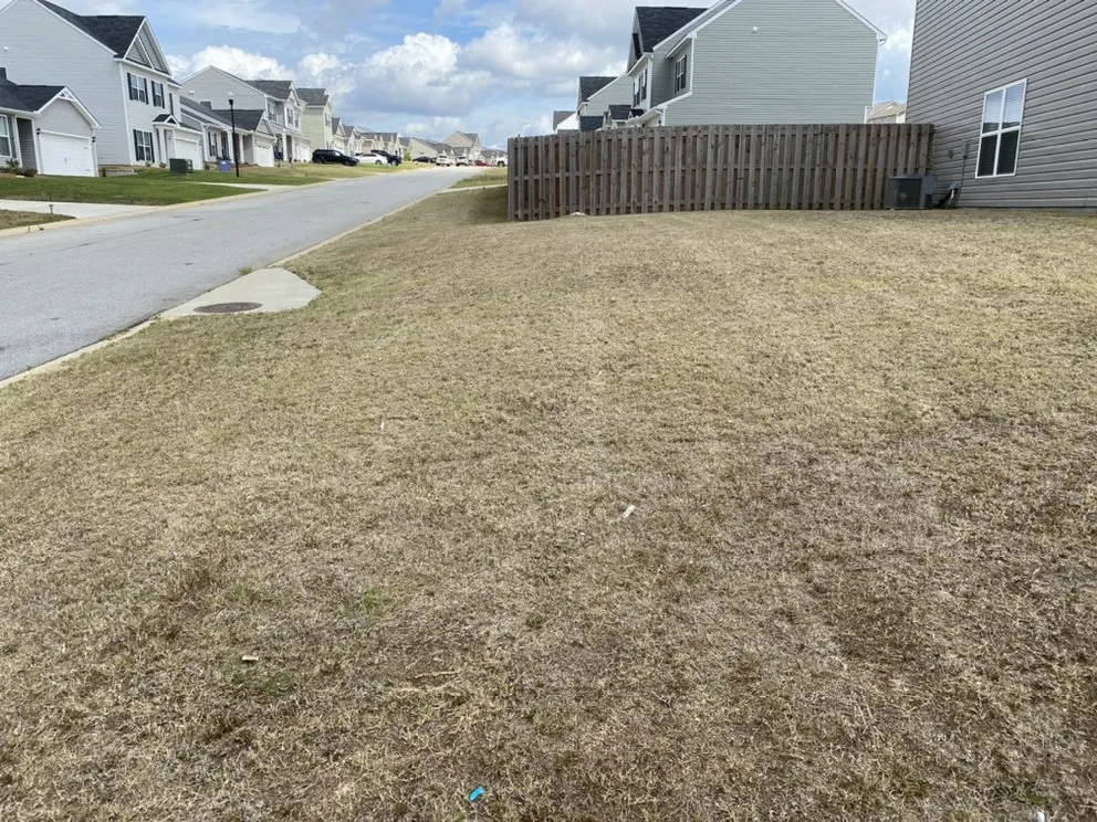 Reliable landscaping services in Edgefield, SC by Perfections Lawn Care & Pressure Washing