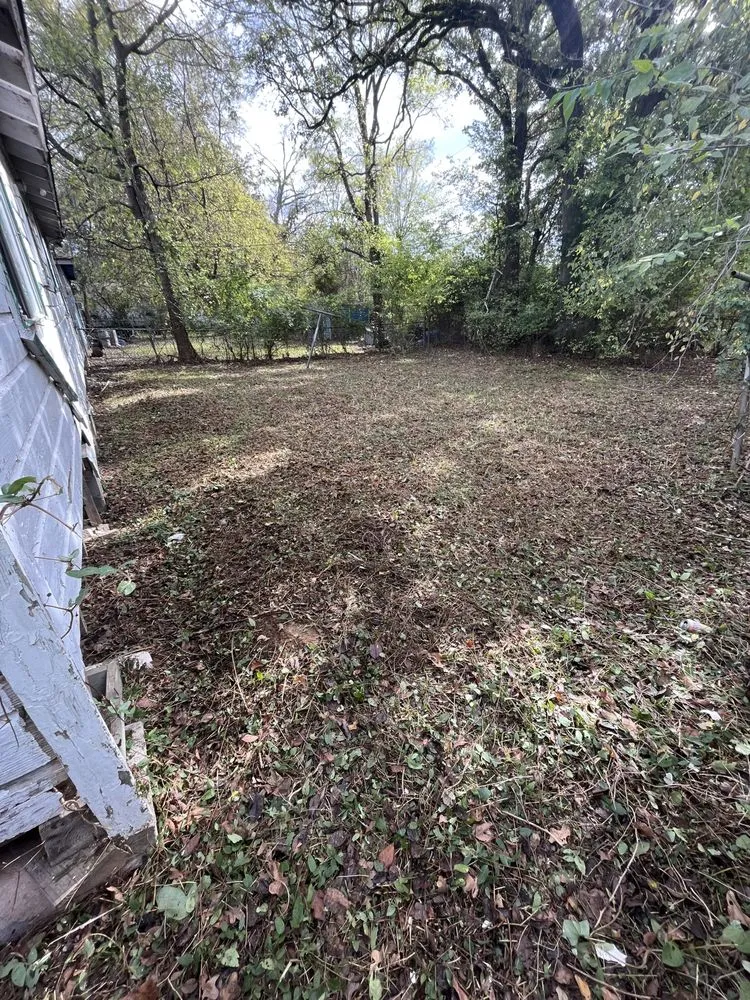 Expert yard cleanup service experts serving Bossier City, LA - Perfective Lawn Care Service