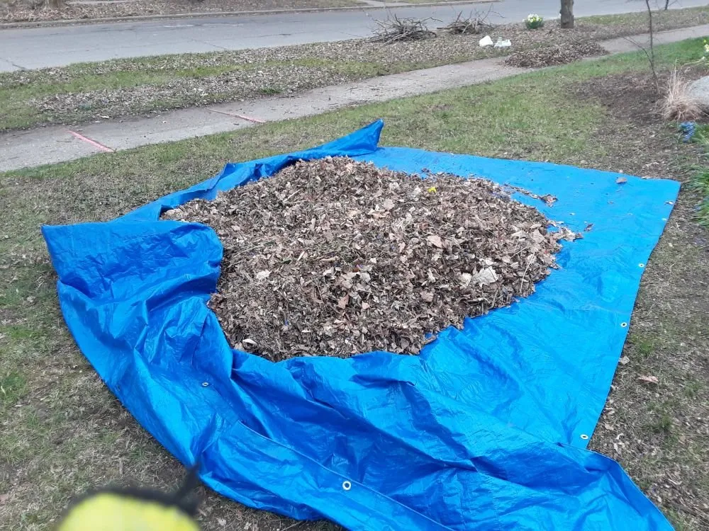 Top-rated landscaping services experts serving Redford Charter Township, MI - Perfectly Green Landscapeing and Interiors incorperated