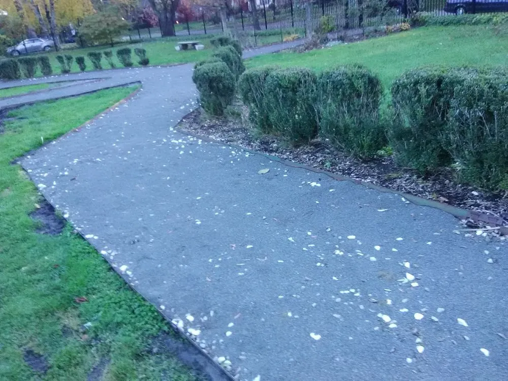 Expert landscape design in Redford Charter Township, MI - Perfectly Green Landscapeing and Interiors incorperated