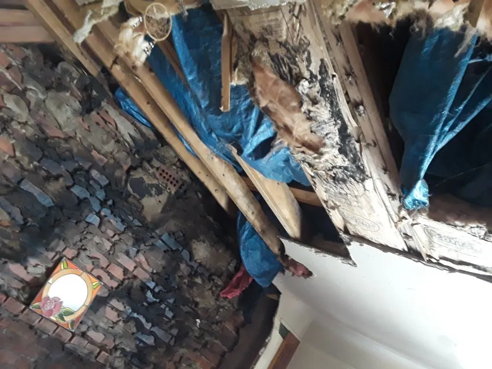 Professional garden landscaping for outdoor upgrades in Redford Charter Township, MI by Perfectly Green Landscapeing and Interiors incorperated