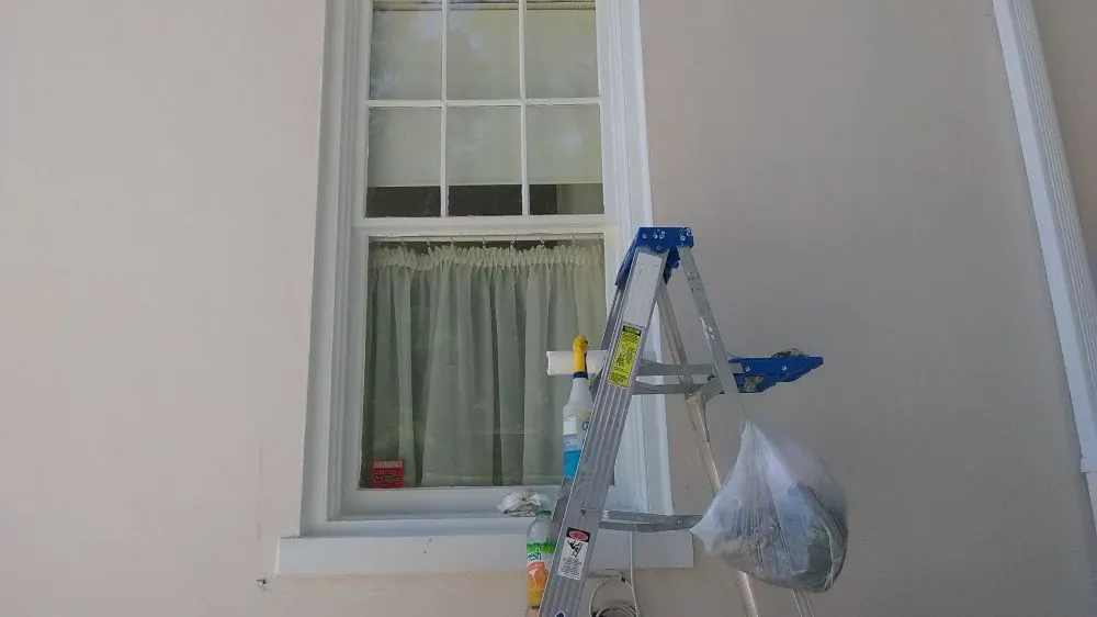 Top-rated outdoor landscaping in Redford Charter Township, MI - Perfectly Green Landscapeing and Interiors incorperated