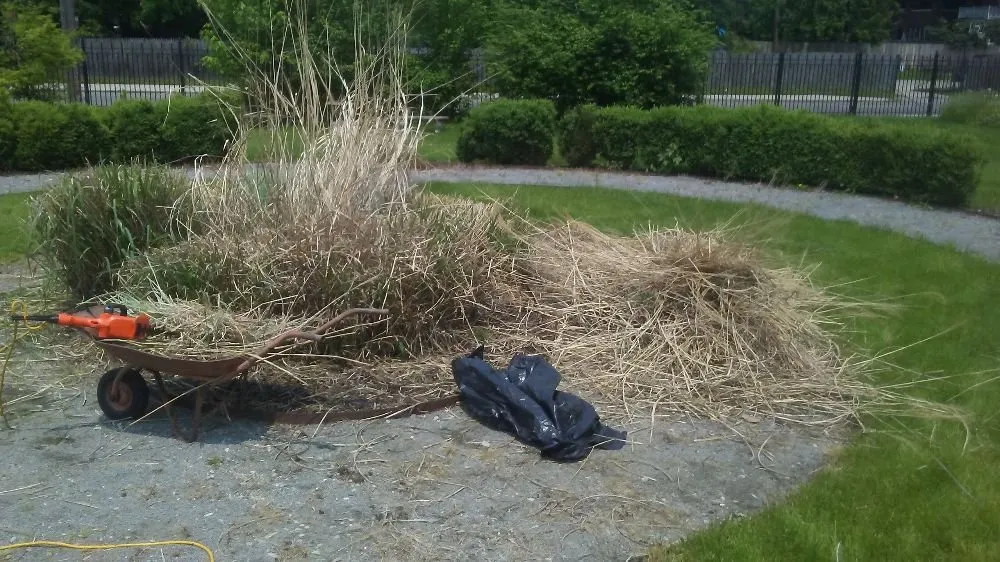 Trusted landscape installation for residential properties across Redford Charter Township, MI - Perfectly Green Landscapeing and Interiors incorperated