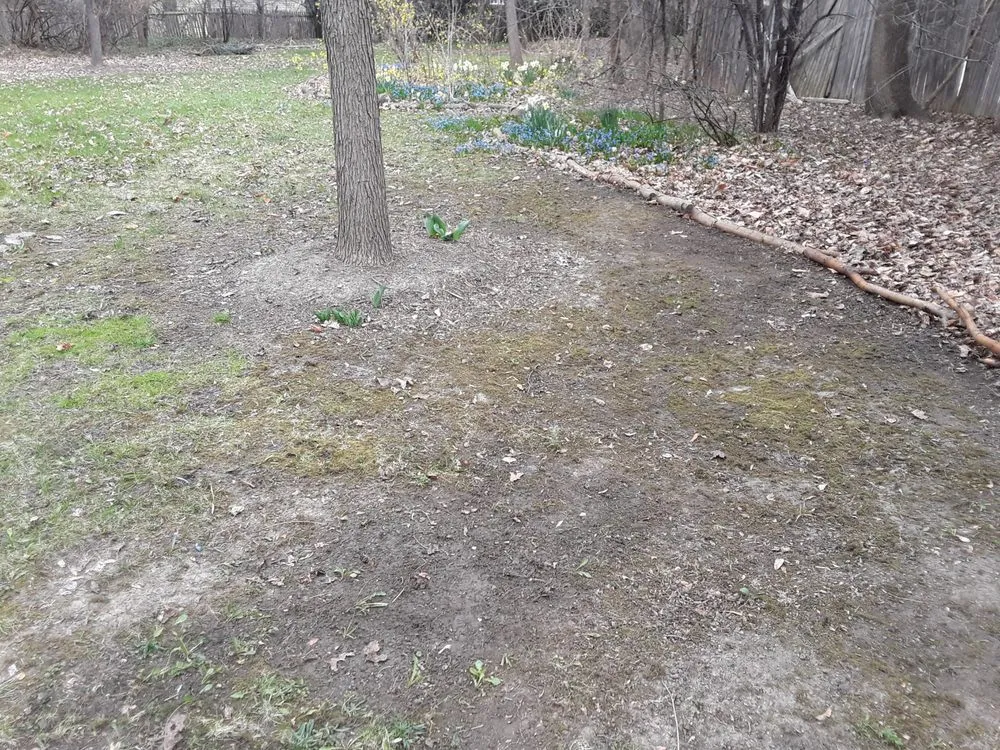 Local outdoor landscaping for year-round maintenance across Redford Charter Township, MI - Perfectly Green Landscapeing and Interiors incorperated