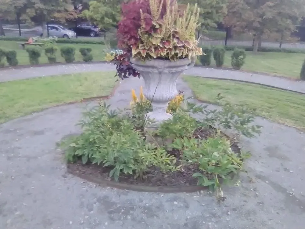 Affordable lawn care service in Redford Charter Township, MI by Perfectly Green Landscapeing and Interiors incorperated