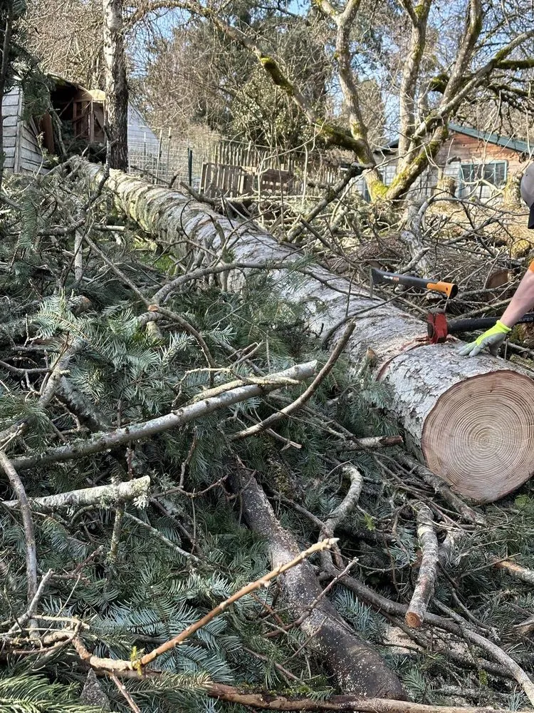 Trusted landscaping services experts serving Washougal, WA - Perfectly Imperfect Farm