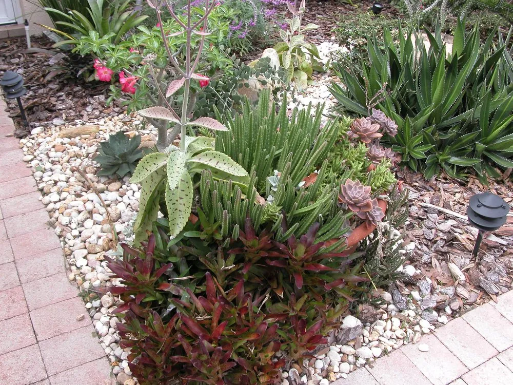 Reliable outdoor landscaping in Boynton Beach, FL - Perfectly Planted