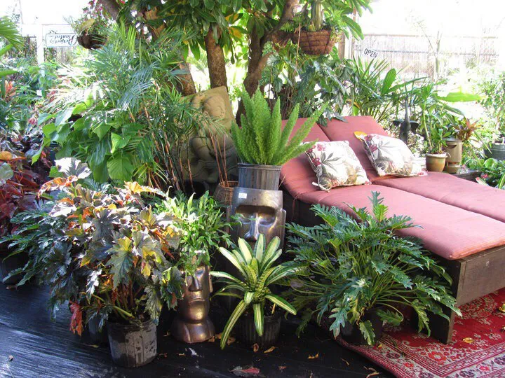 Trusted yard maintenance for beautiful yards across Boynton Beach, FL - Perfectly Planted