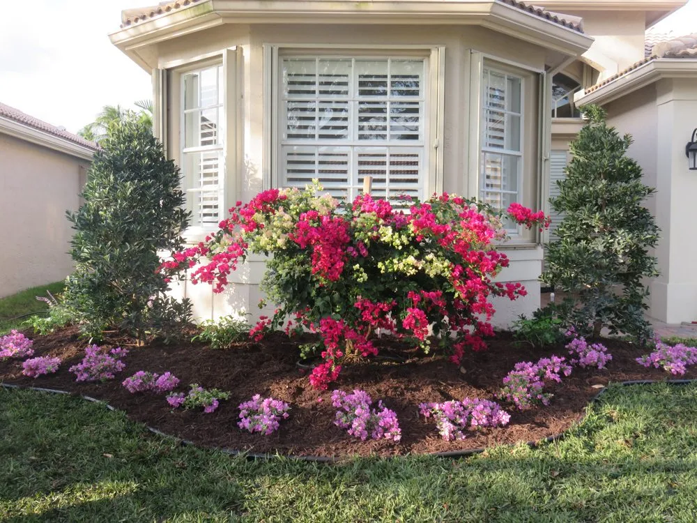 Custom yard cleanup service experts serving Boynton Beach, FL - Perfectly Planted