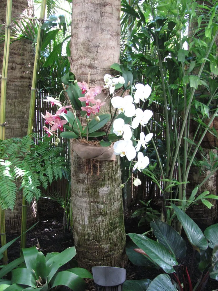 Reliable lawn mowing service experts serving Boynton Beach, FL - Perfectly Planted