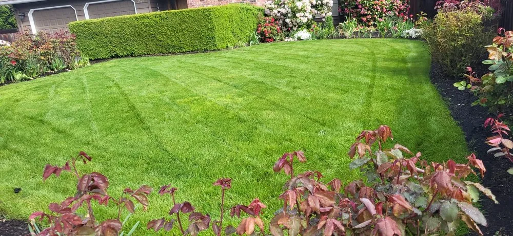 Top-rated yard cleanup service for year-round maintenance across Portland, OR - Perfecxion Landscape Maintenance