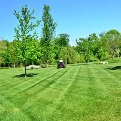 Top-rated yard cleanup service for residential properties in Portland, OR by Perfecxion Landscape Maintenance