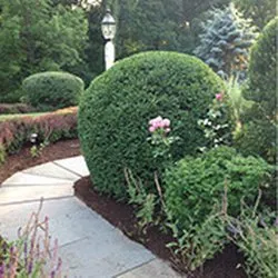 Expert landscape installation near you across Portland, OR - Perfecxion Landscape Maintenance