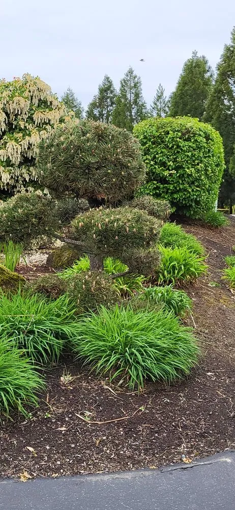 Local landscaping services for beautiful yards across Portland, OR - Perfecxion Landscape Maintenance