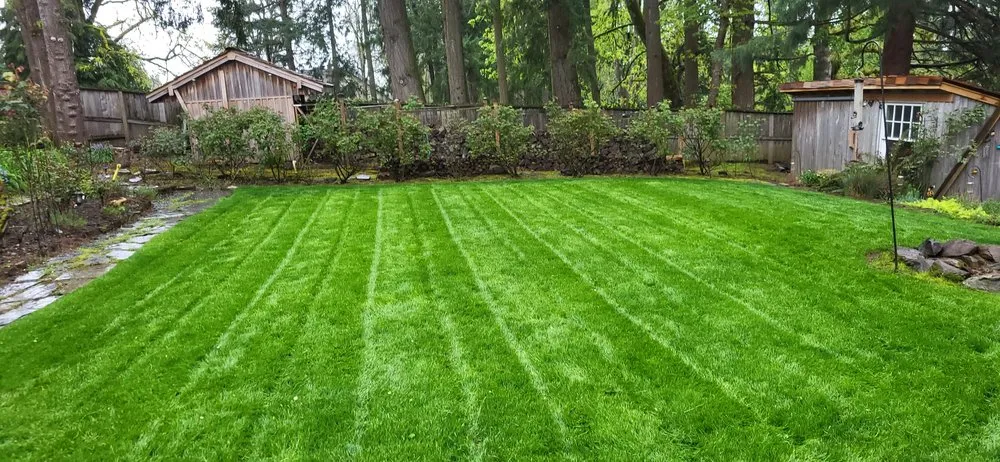 Custom yard maintenance in Portland, OR - Perfecxion Landscape Maintenance