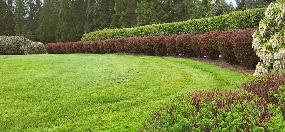 Professional landscape design in Portland, OR - Perfecxion Landscape Maintenance