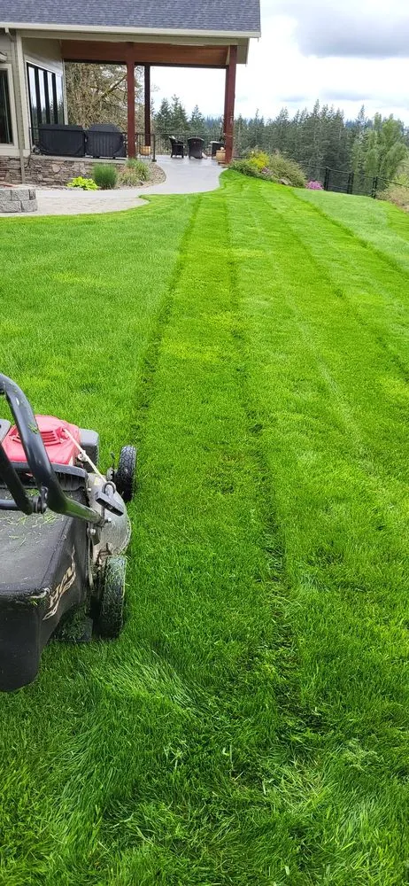 Affordable yard cleanup service in Portland, OR by Perfecxion Landscape Maintenance