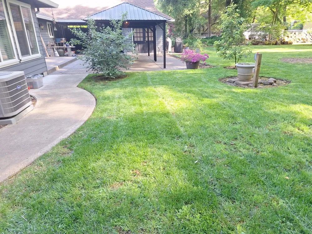 Affordable yard cleanup service experts serving Portland, OR - Perfexion Landscape Maintenance