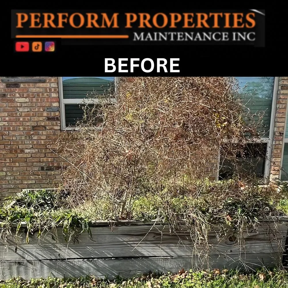 Professional lawn care service in Gonzales, LA by Perform Properties Maintenance