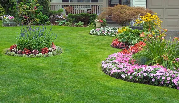 Reliable lawn care service in Ashburn, VA by Performance Elite Landscaping