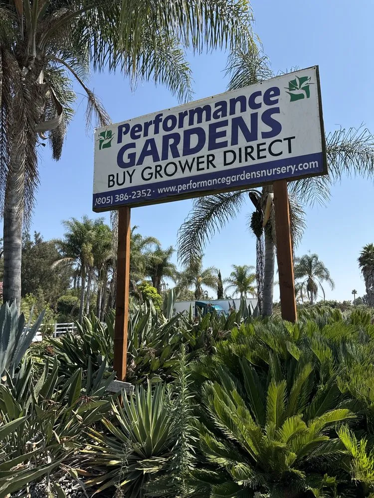 Custom yard maintenance in Somis, CA by Performance Gardens