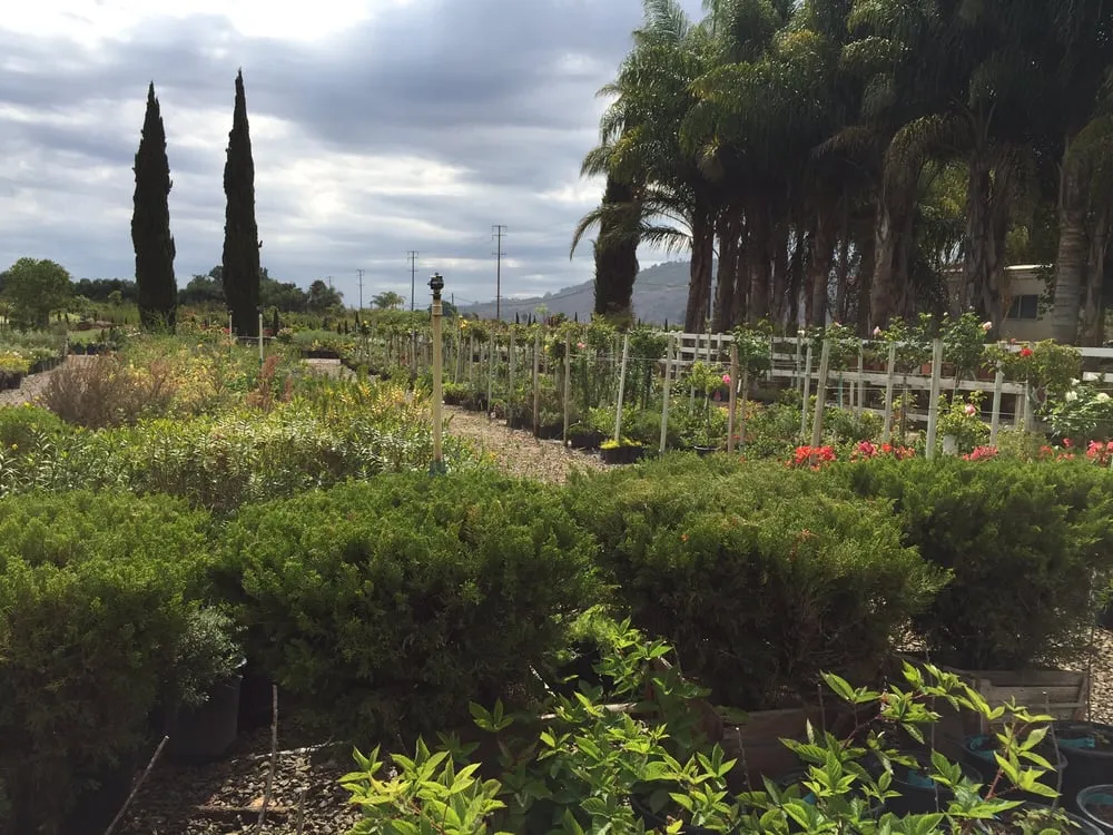 Local outdoor landscaping in Somis, CA by Performance Gardens