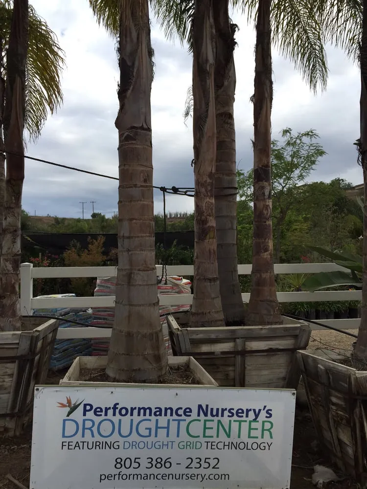 Reliable yard cleanup service for homes across Somis, CA - Performance Gardens