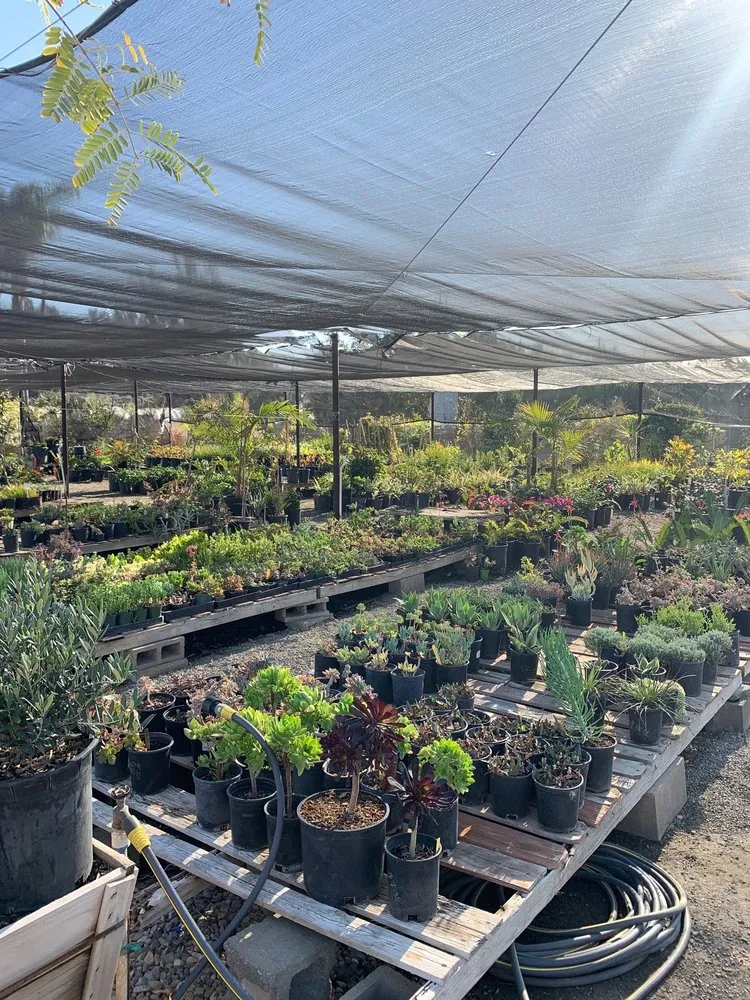 Affordable lawn mowing service near you across Somis, CA - Performance Gardens