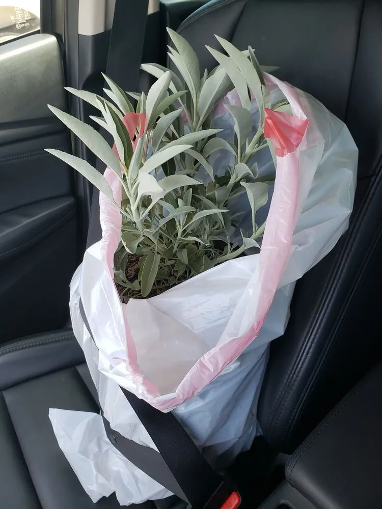 Affordable lawn mowing service for homes in Somis, CA by Performance Gardens