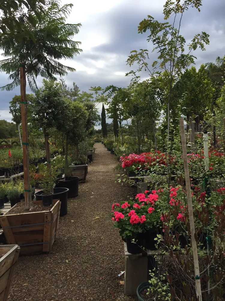 Custom landscape design for beautiful yards across Somis, CA - Performance Gardens