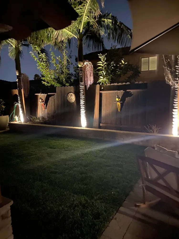 Trusted yard maintenance experts serving Santa Paula, CA - Performance Landscape
