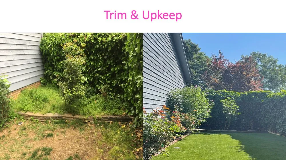 Custom yard maintenance in Cowpens, SC - Performance Landscaping