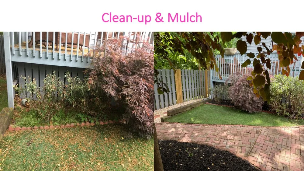 Local yard maintenance in Cowpens, SC - Performance Landscaping