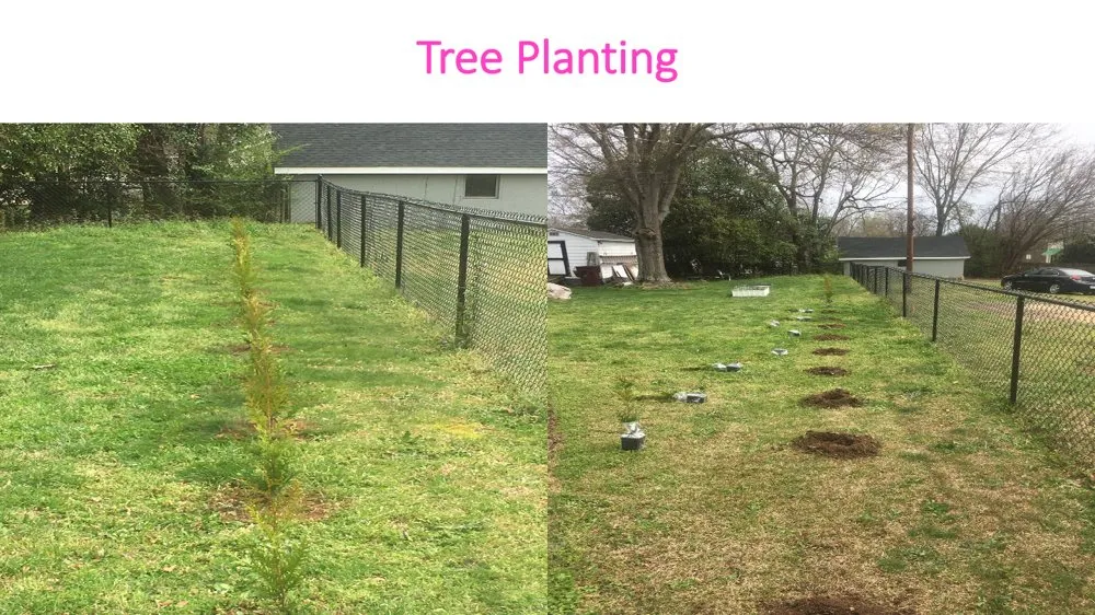 Top-rated landscape installation for year-round maintenance across Cowpens, SC - Performance Landscaping