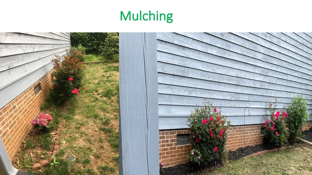 Affordable lawn care service experts serving Cowpens, SC - Performance Landscaping