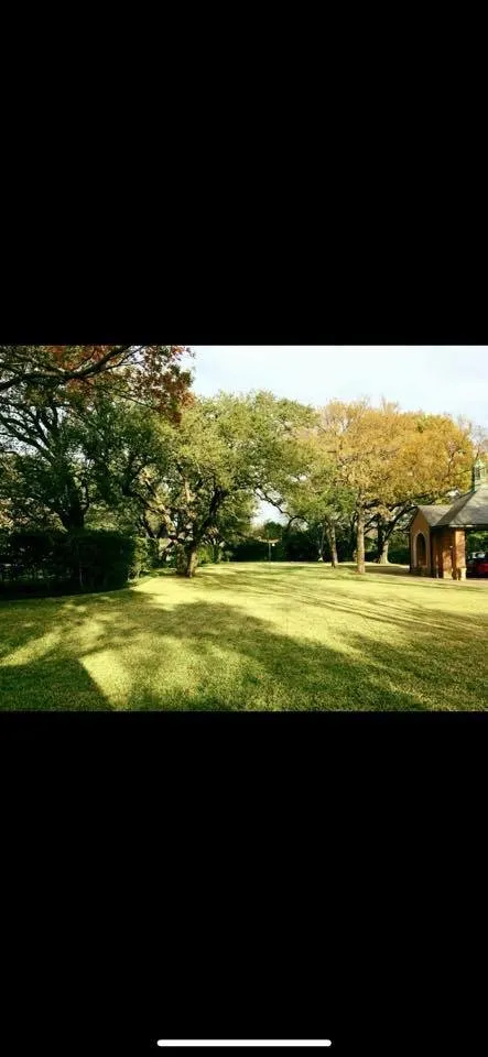 Custom yard cleanup service in Melissa, TX by Performance Lawn & Landscaping