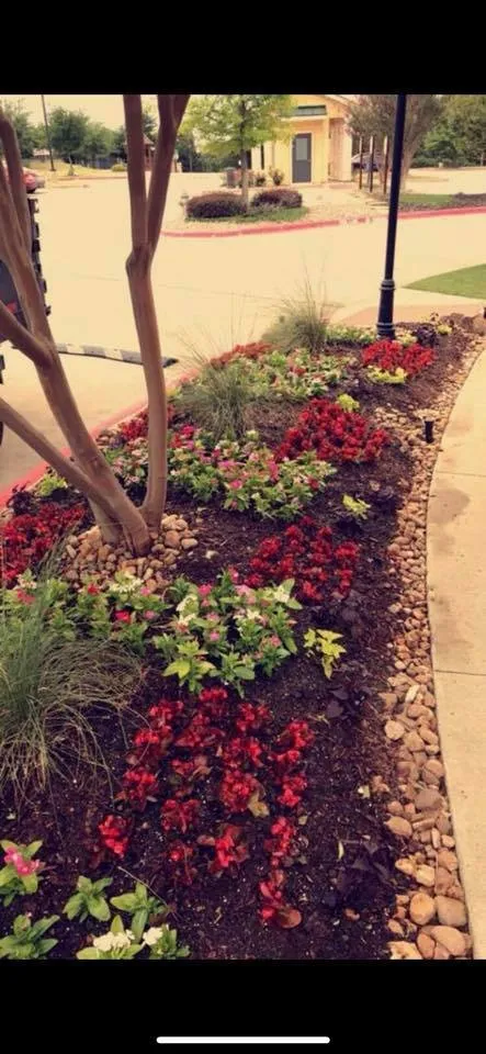 Expert garden landscaping for year-round maintenance across Melissa, TX - Performance Lawn & Landscaping