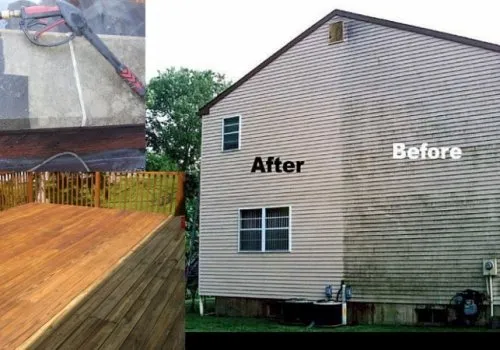 Professional yard cleanup service in Melissa, TX - Performance Lawn & Landscaping