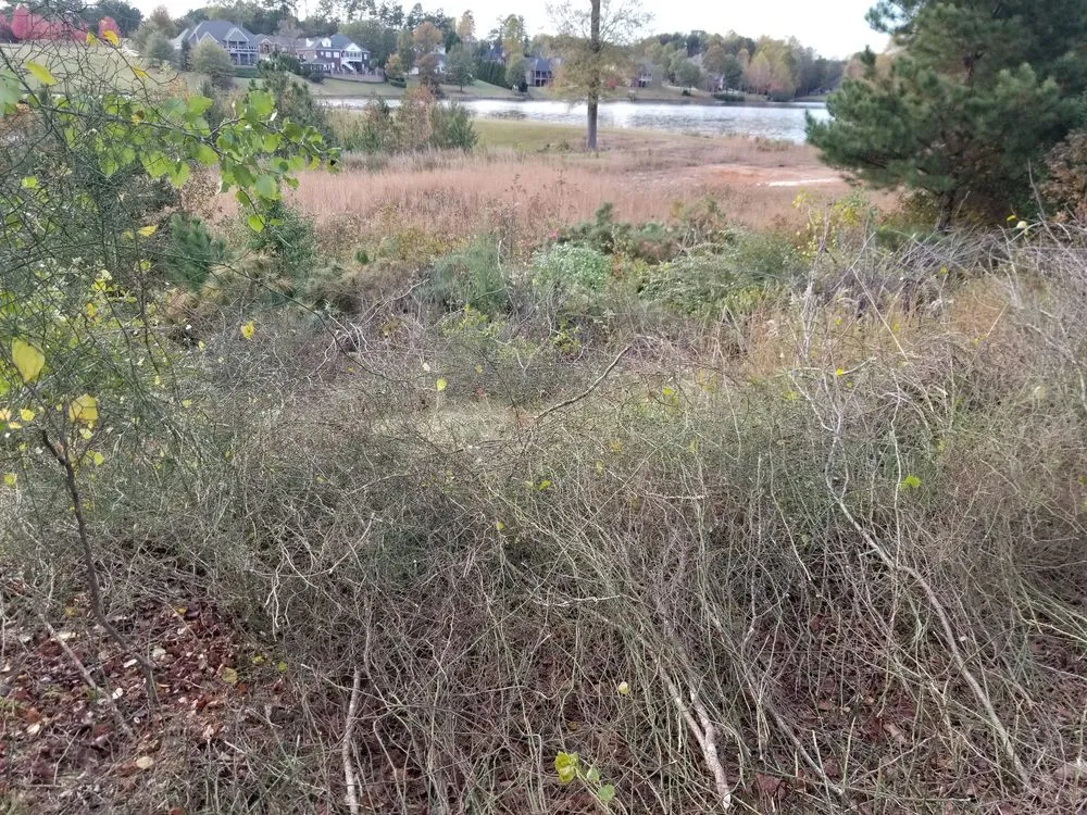 Local outdoor landscaping experts serving Chesnee, SC - Performance Lawncare & Handyman