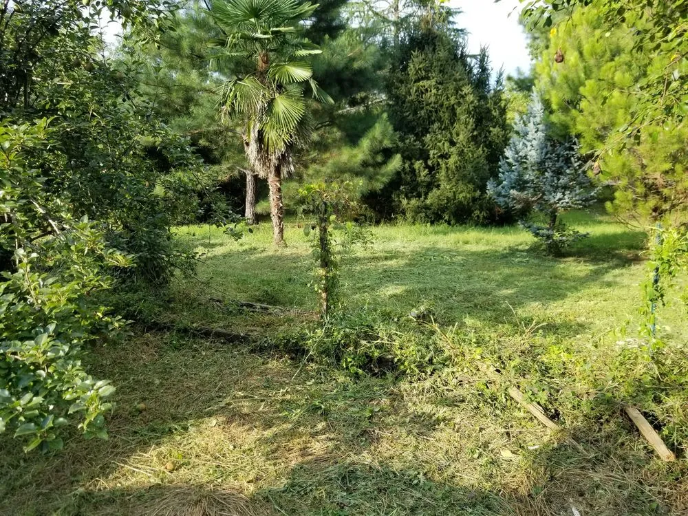 Trusted landscape design in Chesnee, SC by Performance Lawncare & Handyman