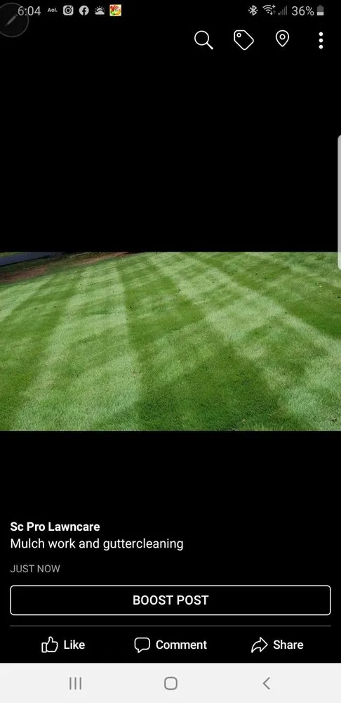 Local yard maintenance with custom design in Chesnee, SC by Performance Lawncare & Handyman