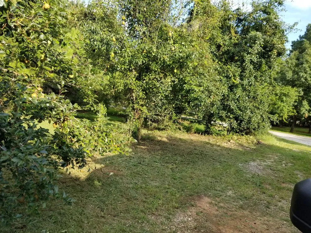 Local landscaping services in Chesnee, SC by Performance Lawncare & Handyman