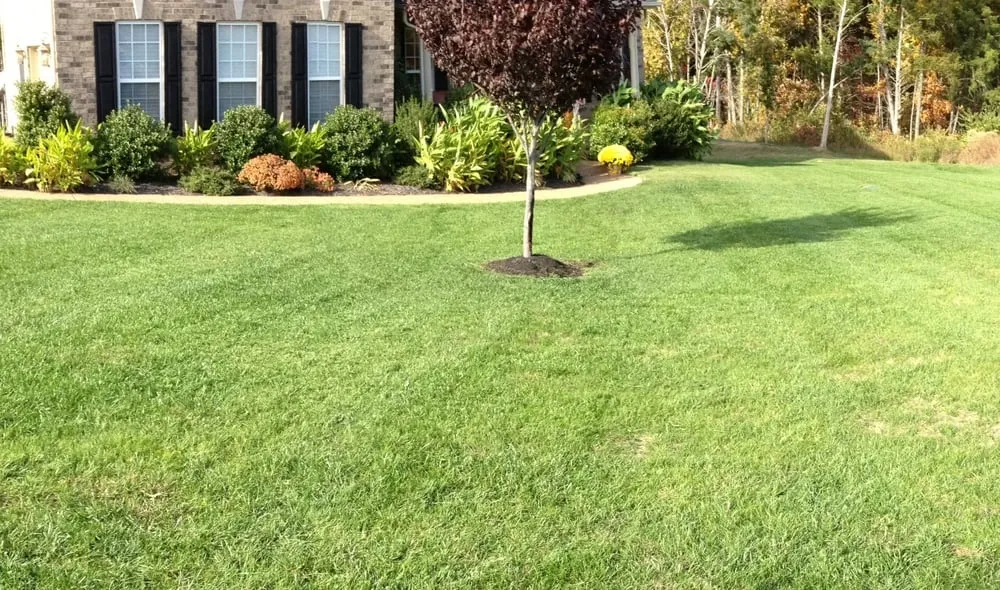 Top-rated lawn care service in Lebanon, TN by Performance Lawns