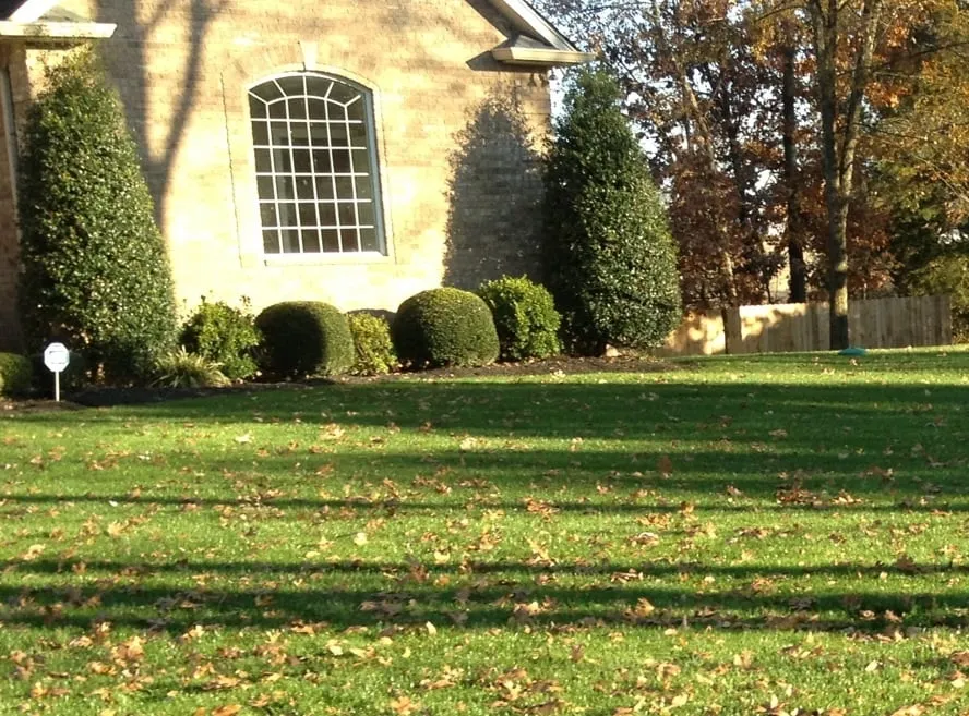 Expert yard cleanup service in Lebanon, TN - Performance Lawns