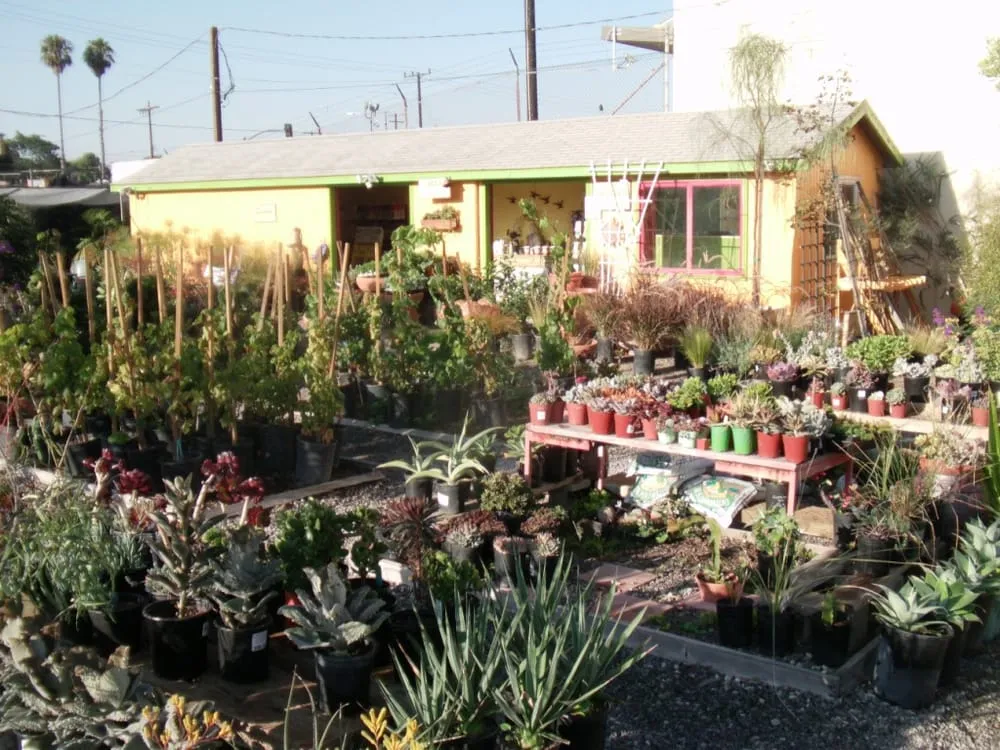 Reliable landscaping services in Redondo Beach, CA by Performance Nursery Wholesale