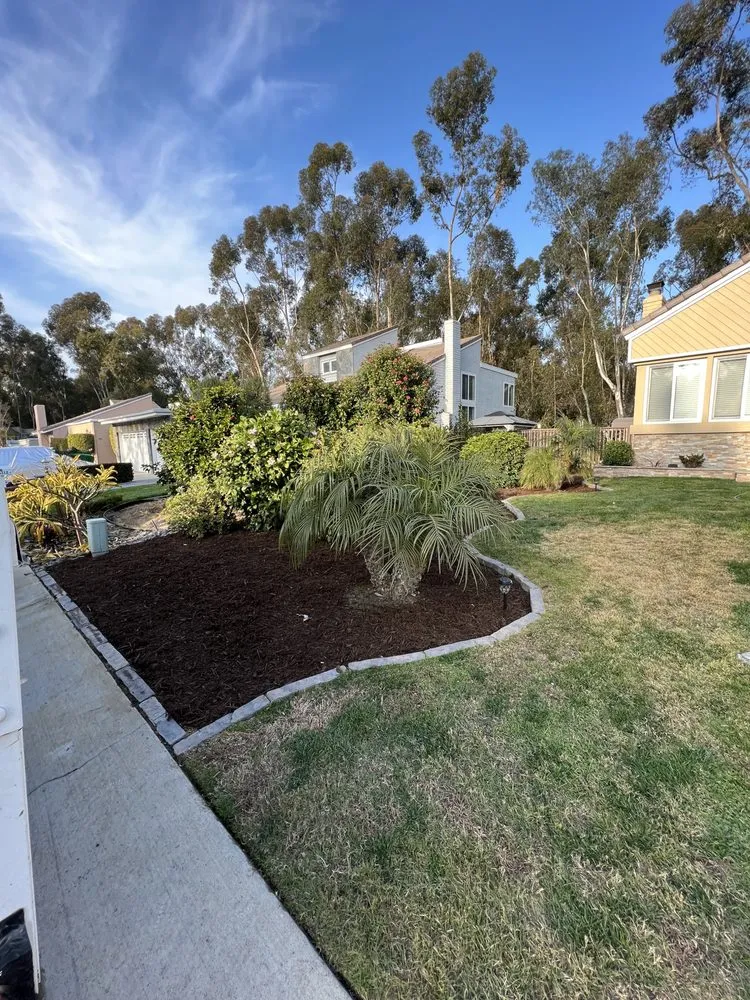 Reliable outdoor landscaping for homes in Santa Ana, CA by Performance outdoor landscape