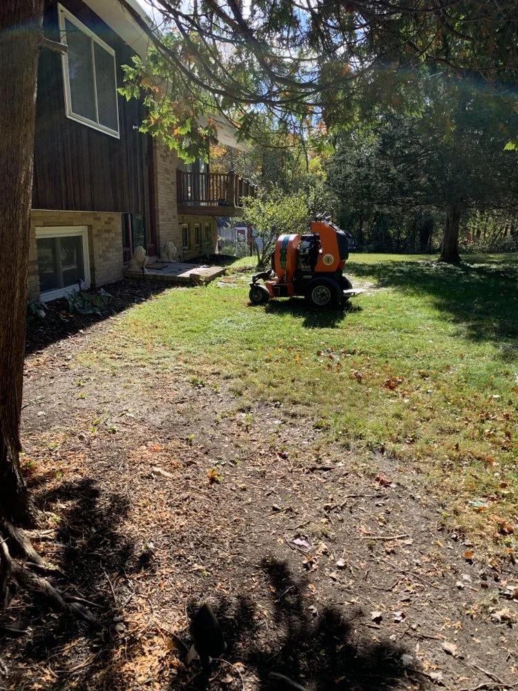 Trusted yard cleanup service for beautiful yards across Hopewell Junction, NY - Perillo Property Maintenance