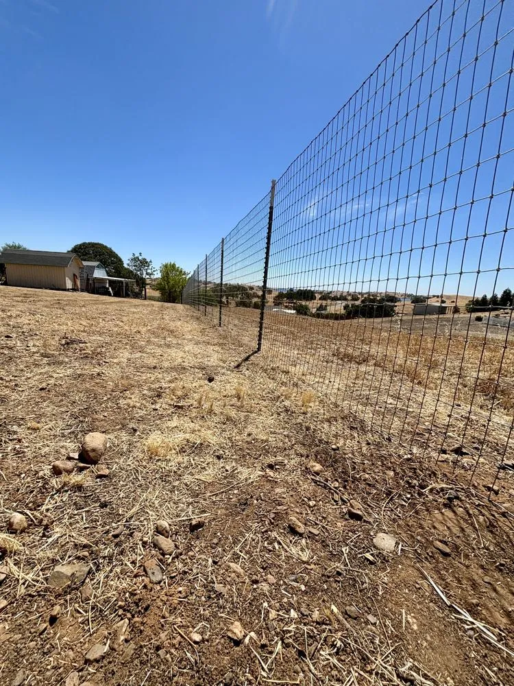 Top-rated yard maintenance experts serving Diamond Springs, CA - Perimeter 1 Fencing