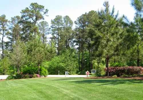 Trusted yard cleanup service for residential properties across Lilburn, GA - Perimeter Landscape Management