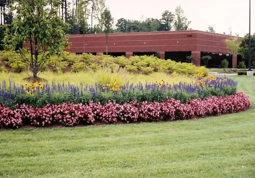 Top-rated landscaping services in Lilburn, GA by Perimeter Landscape Management